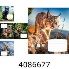 Зошит шк. 24 арк. кл. Школярик ВД-лак  (25/200) 024-3679K