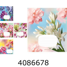 Зошит шк. 24 арк. лін. Школярик ВД-лак  (25/200) 024-3640L