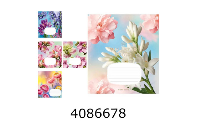 Зошит шк. 24 арк. лін. Школярик ВД-лак  (25/200) 024-3640L