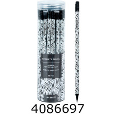 Олівець графіт. Axent 9009 НВ 36шт. туба Black Leaves (36/432) 9009/36-19-A