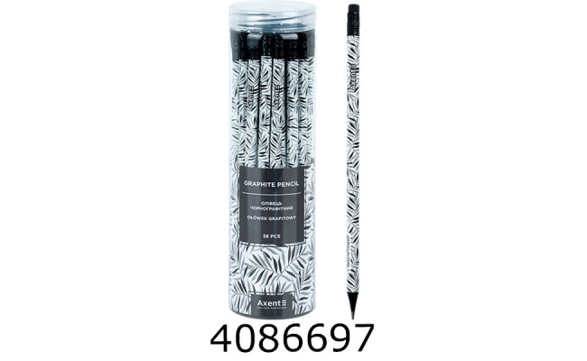 Олівець графіт. Axent 9009 НВ 36шт. туба Black Leaves (36/432) 9009/36-19-A