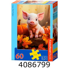Пазли 60 ел. Castorland 