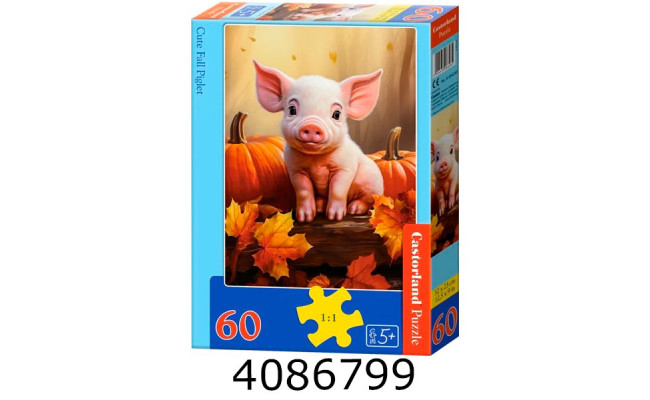 Пазли 60 ел. Castorland 