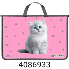 Портфель А4 дитячий пластик. Cool for school на блискавці  (30) MX30062