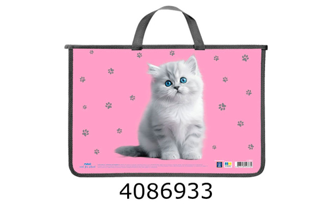 Портфель А4 дитячий пластик. Cool for school на блискавці  (30) MX30062