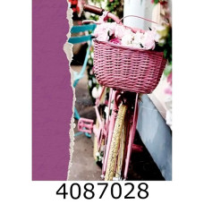 Ф/а 200ф. PP-46200 Memories (велосипед)(24)