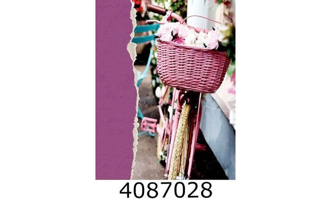 Ф/а 200ф. PP-46200 Memories (велосипед)(24)
