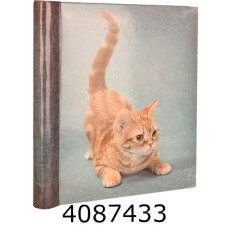 Ф/а Самоклейка-40 SA-20 22*28 Cats New (12) DRS20