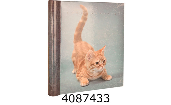 Ф/а Самоклейка-40 SA-20 22*28 Cats New (12) DRS20