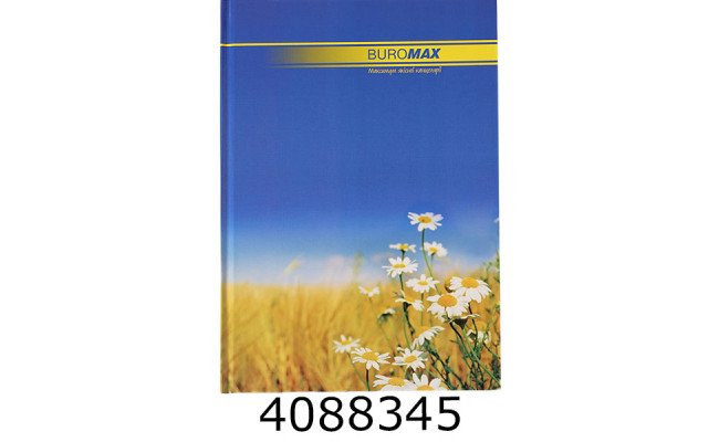 Канц. книга 96 арк. тв. обкл. лін. офсет. Buromax (8) BM.2401і