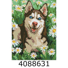 Алмазна мозаїка 30*40 