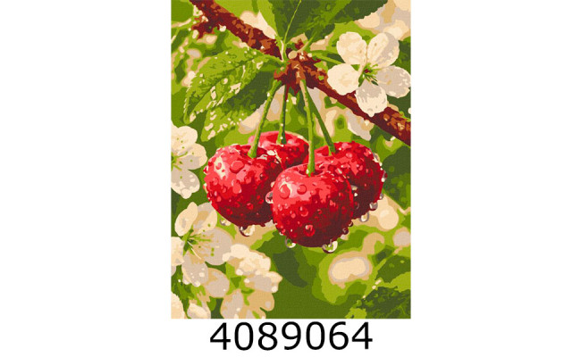 Картина по номерам 30*40см 