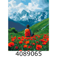 Картина по номерам 40*50см 