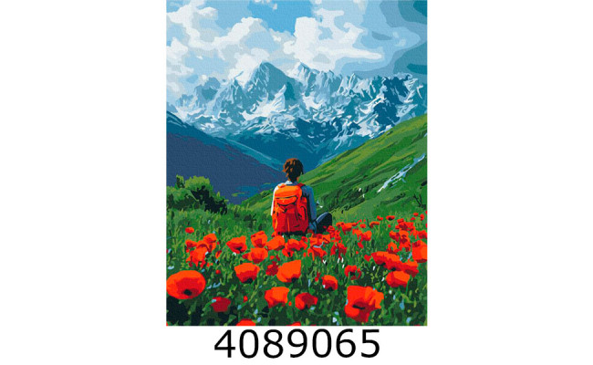 Картина по номерам 40*50см 