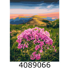 Картина по номерам 40*50см 