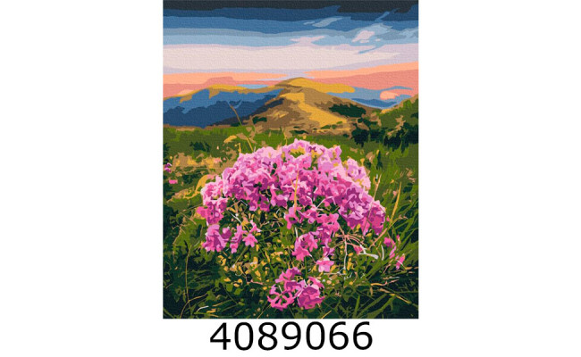 Картина по номерам 40*50см 