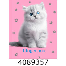 Щоденник шк. тв. обкл. Economix 165х210 мм (20) MX29932-09
