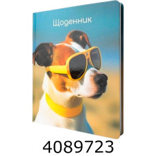 Щоденник шк. тв. обкл. Economix 165х210 мм (20) MX29917