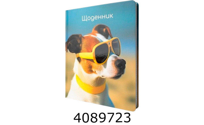 Щоденник шк. тв. обкл. Economix 165х210 мм (20) MX29917