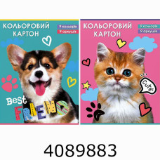 Картон кольоровий А4 9 арк. Руслан (25) 11В-017 Картон кольоровий А4 9 арк. Руслан (25) 11В-017