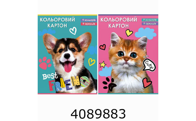 Картон кольоровий А4 9 арк. Руслан (25) 11В-017