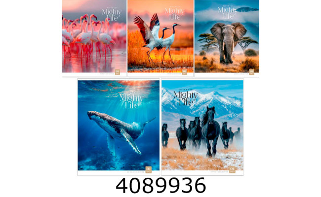 Зошит шк. 60 арк. кл. Школярик Star УФ лак   (10/100) 060-3761K