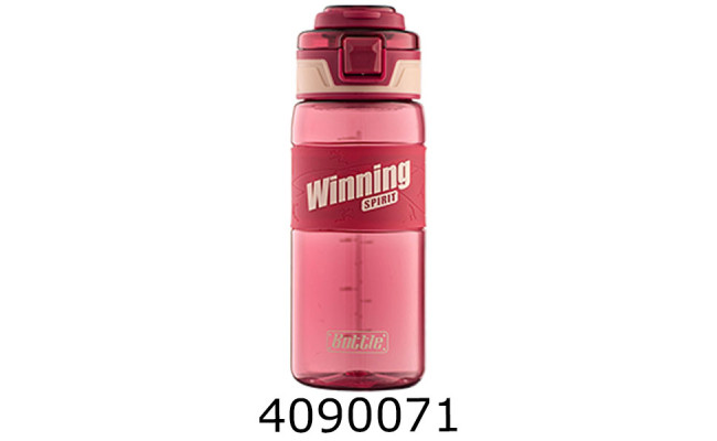 Пляшечка для води 600 мл бордова WINNING ZiBi ZB.3026-13
