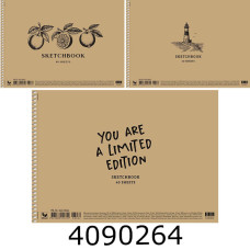 Альбом для малюв. на спір. 40 арк. Школярик 120г/м2 крафт (9/54) PB-SC-040-8062