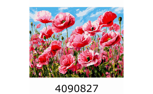 Картина по номерам 30*40см 