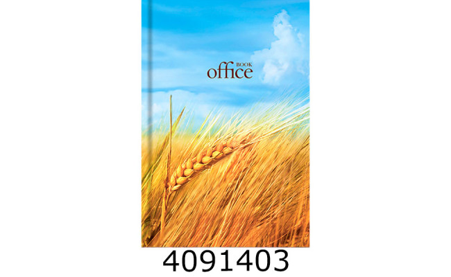 Канц. книга 200 арк. обкл. тв. картон. кл. 