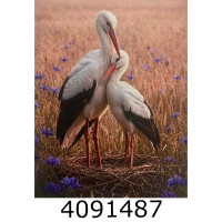 Алмазна мозаїка 40*50 тварини Лелеки в полі