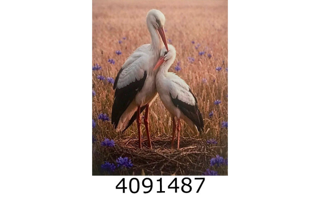 Алмазна мозаїка 40*50 тварини Лелеки в полі