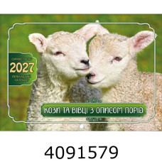 Календар 2027 настін. горизонт. 338*243мм Експрес Удачі (50) KD27 G-05U