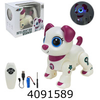 Робо-пес радiо акум. в коробці 2 кольори 20*18*12см (12) K51