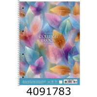 Канц. книга на спір. 80 арк. кл. Школярик Student картон, ВД-лак, перфор (4/36) A4-080-6530K