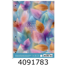 Канц. книга на спір. 80 арк. кл. Школярик Student картон, ВД-лак, перфор (4/36) A4-080-6530K