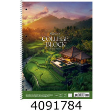 Канц. книга на спір. 80 арк. кл. Школярик Student картон, ВД-лак, перфор. (4/36) A4-080-6531K