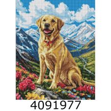 Алмазна мозаїка 40*50 