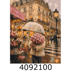 Картина по номерам 40*50см 