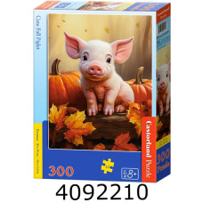 Пазли 300 ел. Castorland Пазли 300 ел. Castorland