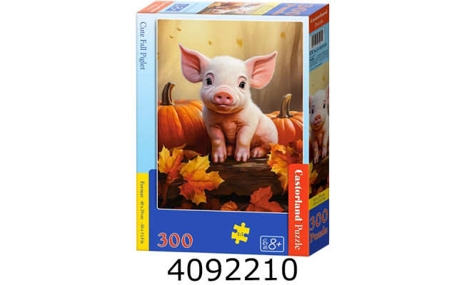 Пазли 300 ел. Castorland 