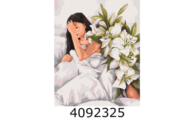 Картина по номерам 40*50см 