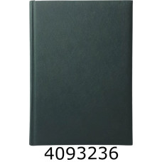 Щоденник А5 недат. Brisk Infolk 168 арк. обкл. балакрон, лінія, зелений (10) ЗВ-43