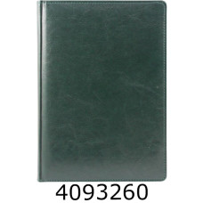 Щоденник А5 недат. Brisk SARIF 168 арк. шт. шкіра, лінія, зелений ЗВ-43